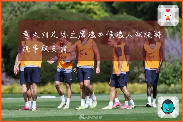 意大利足协主席选举候选人积极游说争取支持